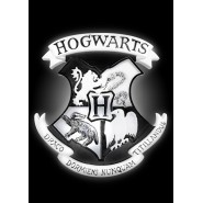 Luce Lampada Atmosfera 23cm STEMMA Logo HOGWARTS Harry Potter ORIGINALE Groovy