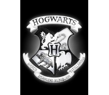 Mood Room Lamp 23cm HOGWARTS CREST Harry Potter ORIGINAL Groovy