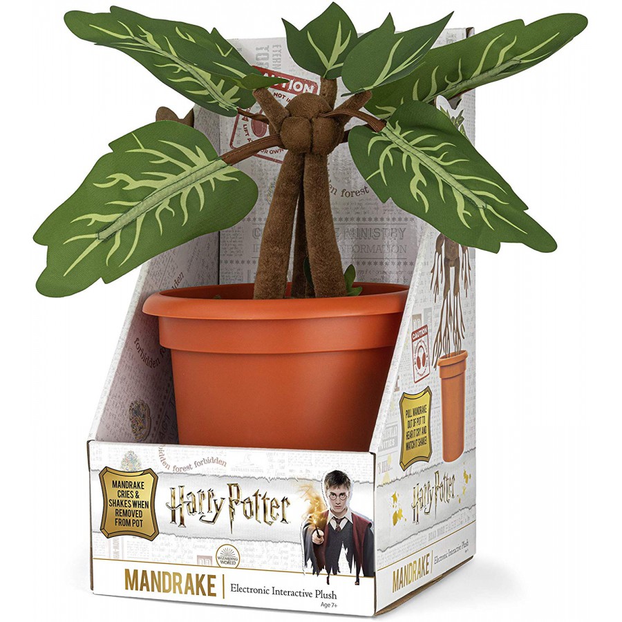 Harry Potter Crying Plants The Home Garden