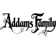 PARRUCCA NERA Bambina WEDNESDAY Mercoledi Addams Carnevale Halloween ORIGINALE
