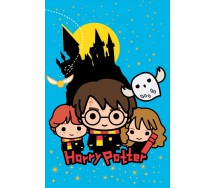 COPERTA PLAID Harry Potter Hermione Ron CASTELLO HOGWARTS 150x100cm ORIGINALE