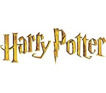 COPERTA PLAID Harry Potter Hermione Ron CASTELLO HOGWARTS 150x100cm ORIGINALE