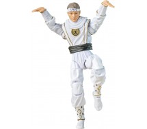 POWER RANGERS Lightning Collection Figure DANIEL LARUSSO 15cm Karate Kid F7768