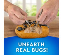 National Geographic NGBUG Real Bug Dig Kit