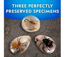 National Geographic NGBUG Real Bug Dig Kit