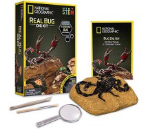 National Geographic NGBUG Real Bug Dig Kit