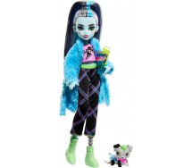 copy of Monster High DRACULAURA Bambola Figura 27cm Mattel HALLOWEEN Ghouls Rule X3716