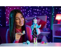 BROKEN PACKAGE Monster High Doll FRANKIE STEIN With Baby Pet CREEPOVER PARTY Mattel HKY68