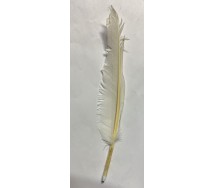 copy of Product 1