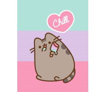 PUSHEEN CAT COPERTA Morbida Calda PLAID 170x130cm ORIGINALE Chill Out Gatto