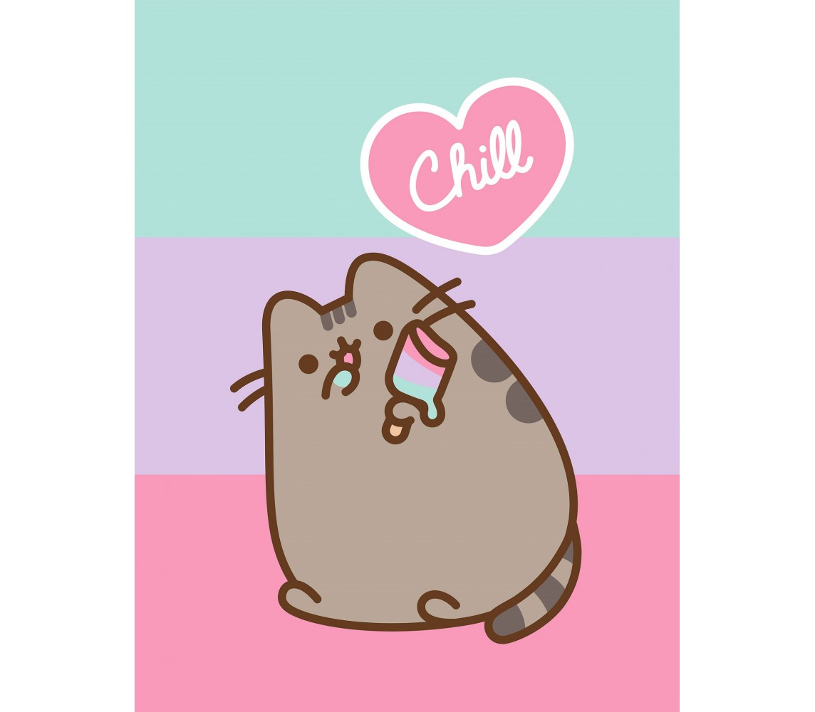 PUSHEEN CAT COPERTA Morbida Calda PLAID 170x130cm ORIGINALE Chill Out Gatto