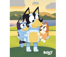 BLUEY Bingo Bandit BLANKET PLAID 150x120cm ORIGINAL BY-7746FB