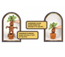 copy of Product 7