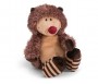 RICCIO Hetch Hogan hedgehog...